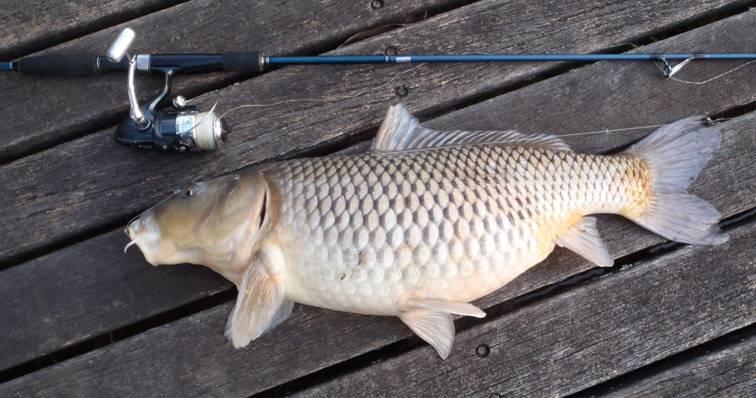 THE REEL DEAL fishing photo 5