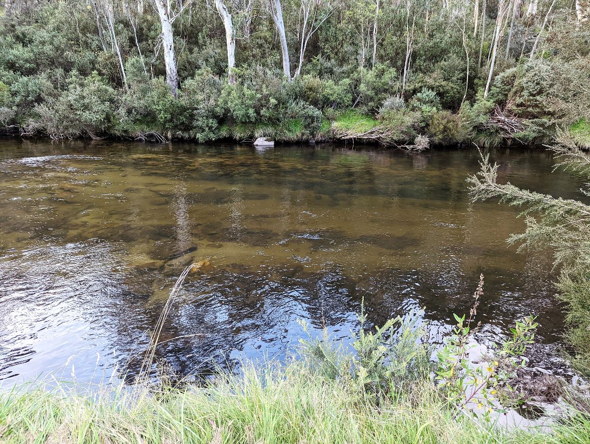 Three Days At Jindabyne fishing photo 2