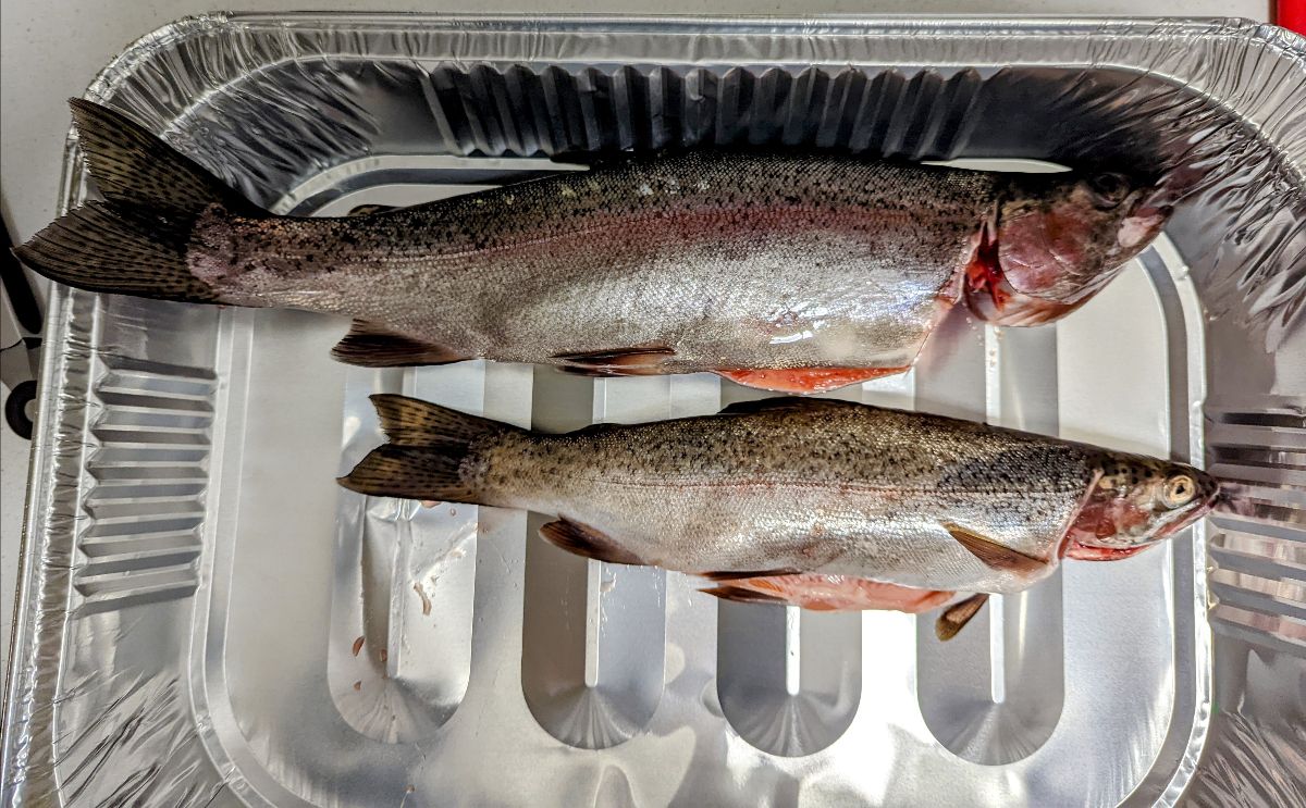 Three Days At Jindabyne fishing photo 9