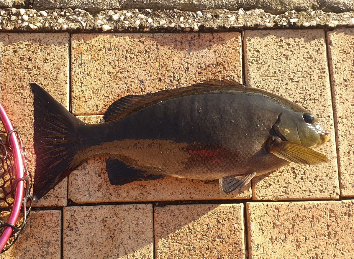 Three Days On The Water fishing photo 2