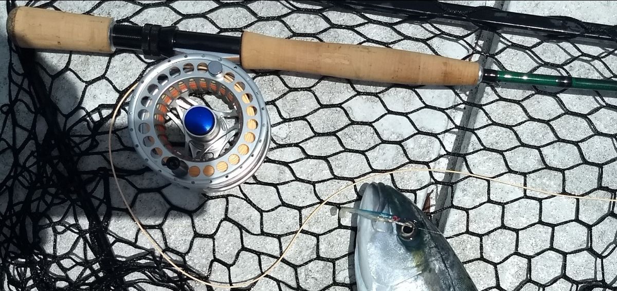Triggering the Bite fishing photo 3