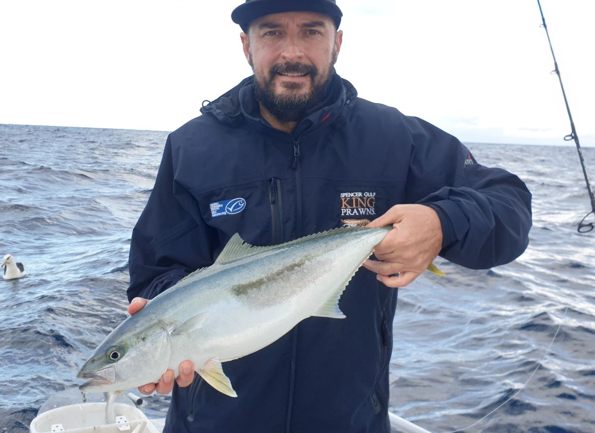 Tuesday and Thursday Offshore fishing photo 2