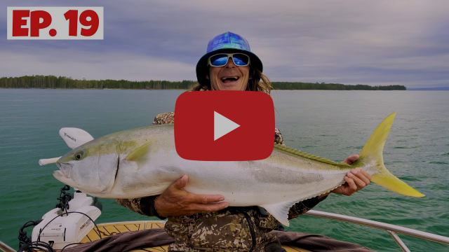 Tuesday and Thursday Offshore fishing photo 6