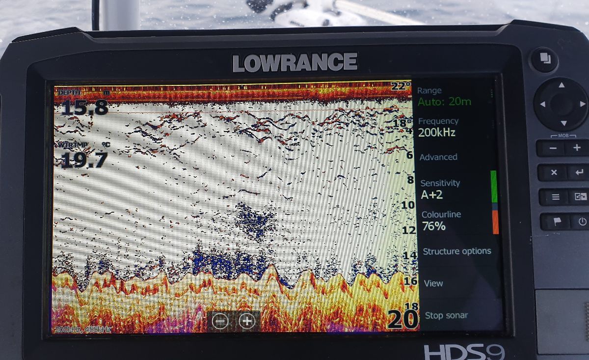 Tuesday and Thursday Offshore fishing photo 7