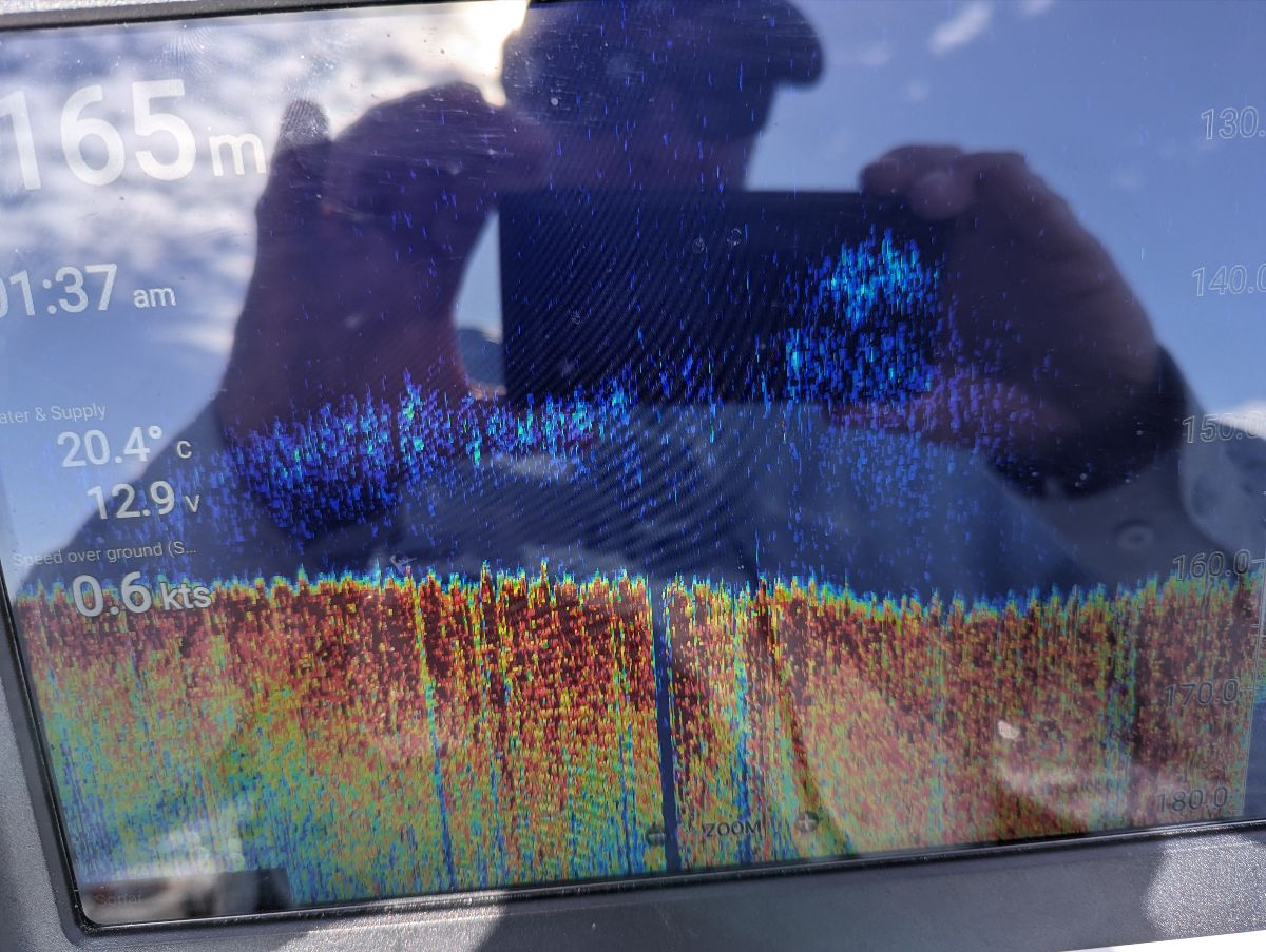 Two days at Port Stephens fishing photo 3