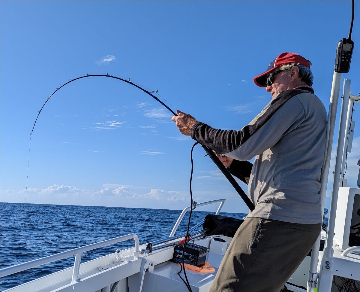 Two days at Port Stephens fishing photo 6