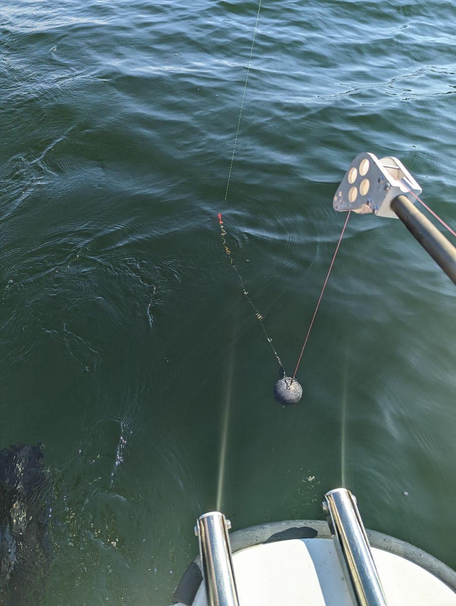 Two Days On Glenbawn Dam fishing photo 4