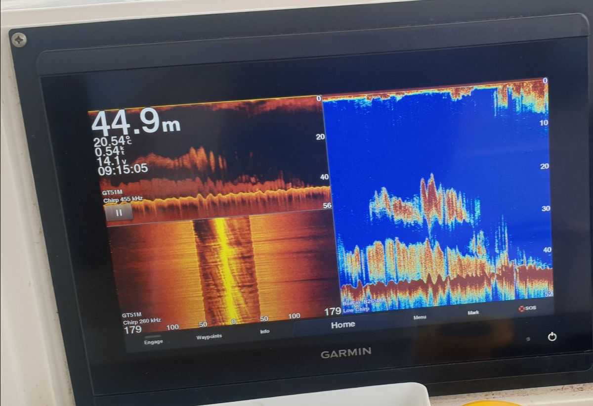 Two Days on the Black Rat fishing photo 2