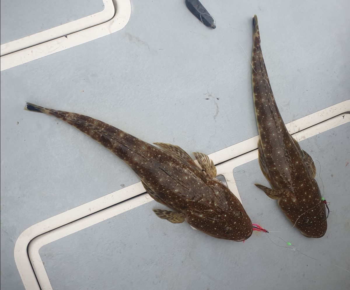 Two Days on the Black Rat fishing photo 3
