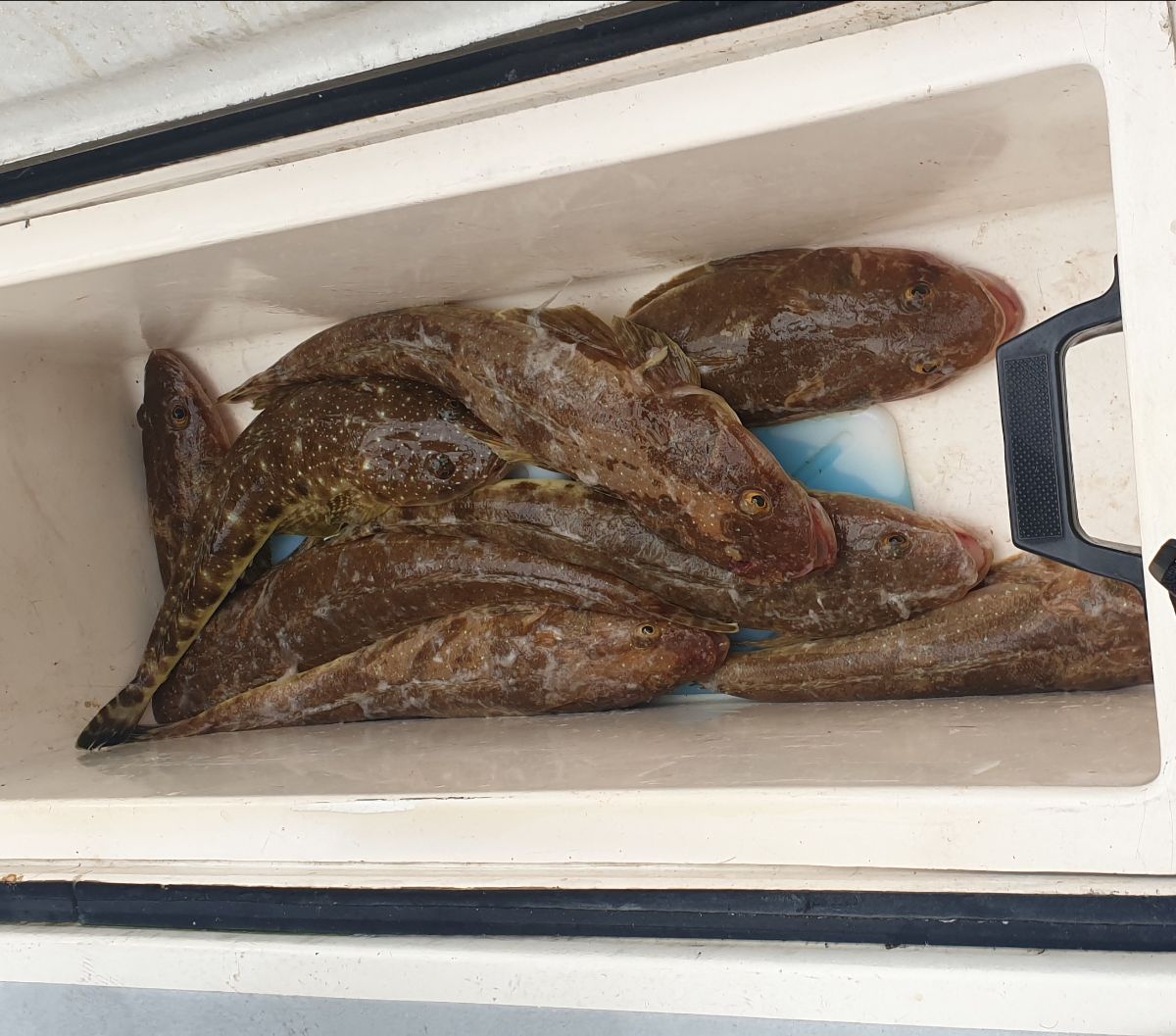 Two Days on the Black Rat fishing photo 6