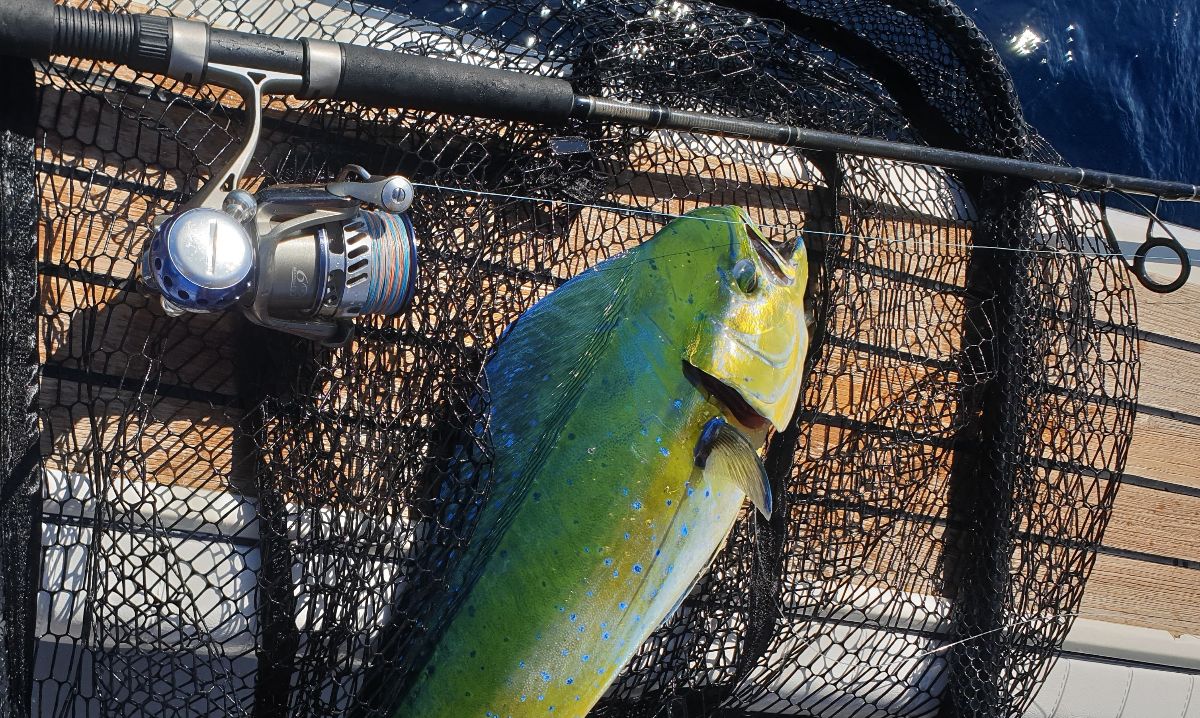 Two Days on the Black Rat fishing photo 10