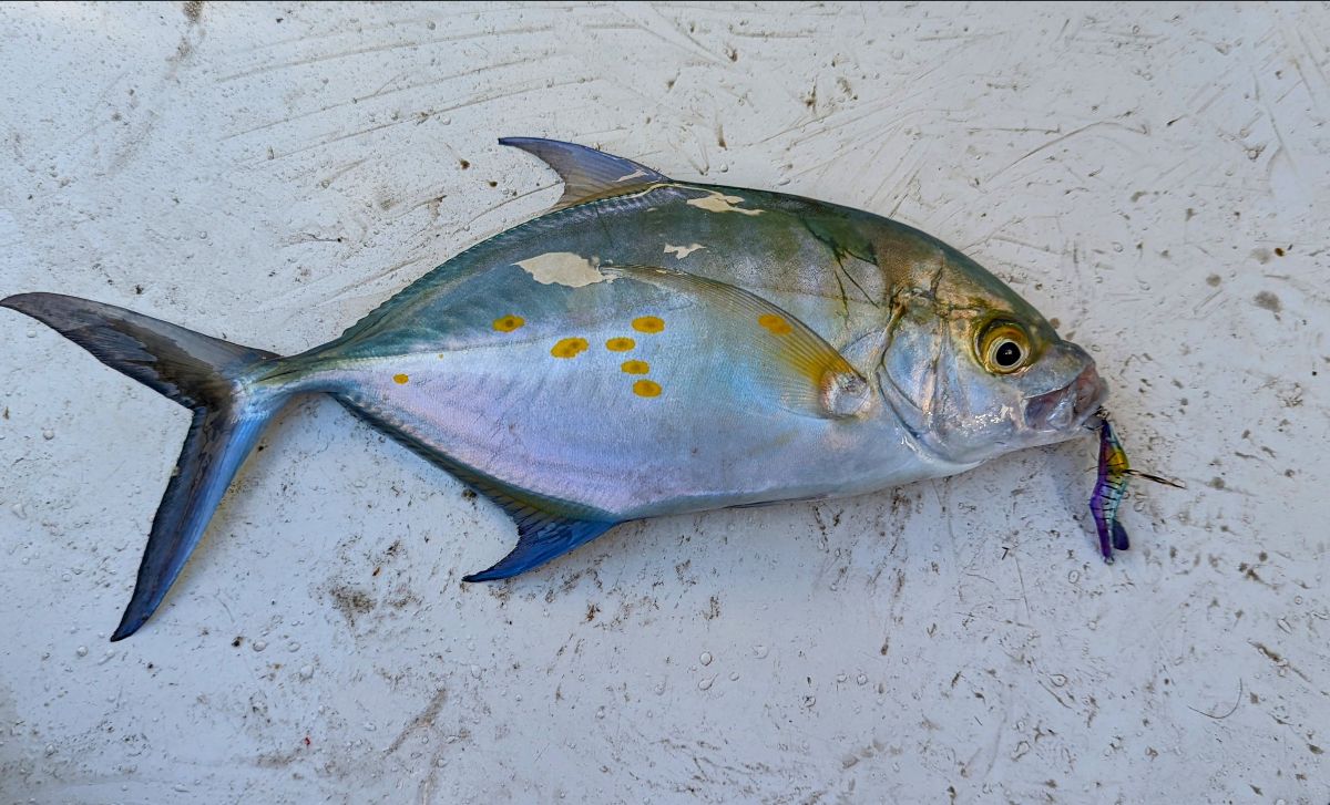 Two Days, One Reel fishing photo 6
