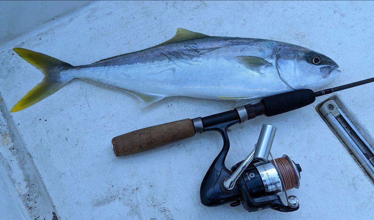 Two Days, One Reel fishing photo 7