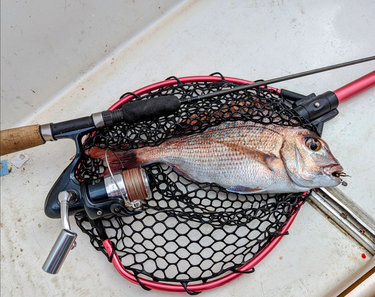 Two Days, One Reel fishing photo 10