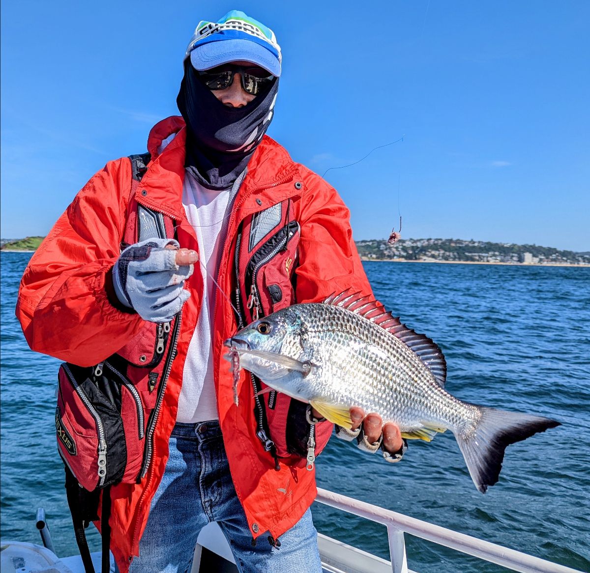 Two Mornings at Long Reef fishing photo 9