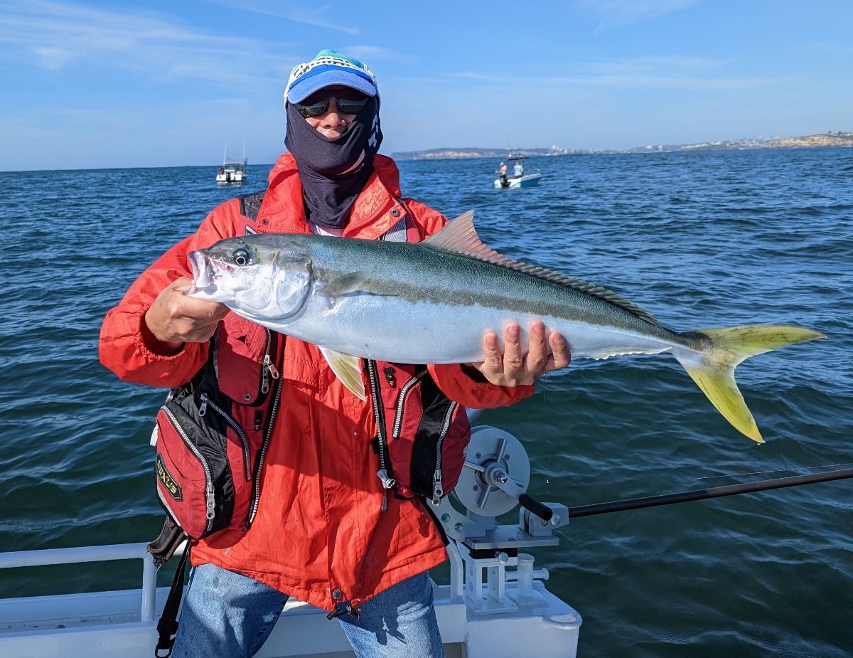 Two Mornings at Long Reef fishing photo 10