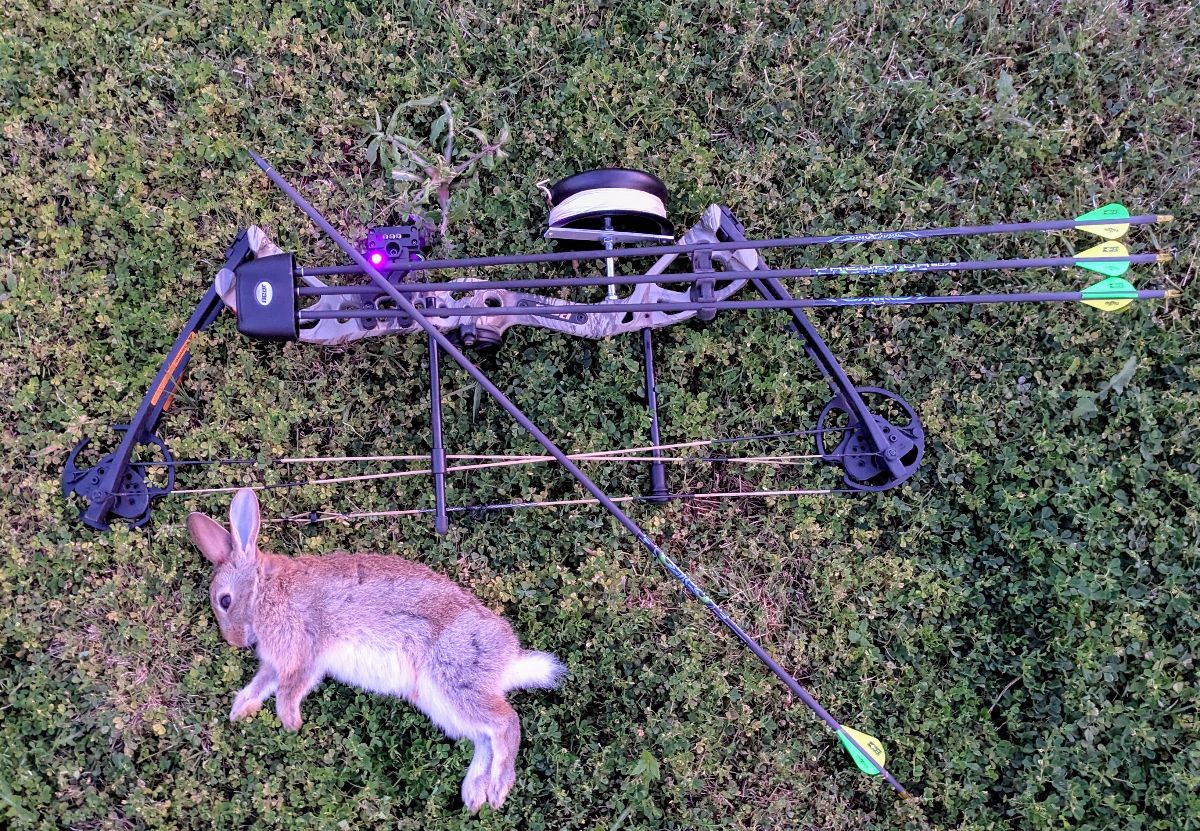 TWO TRIPS OUT WEST fishing photo 3