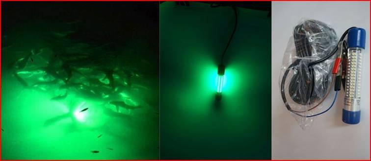 Underwater squid lights - they're deadly fishing photo 8