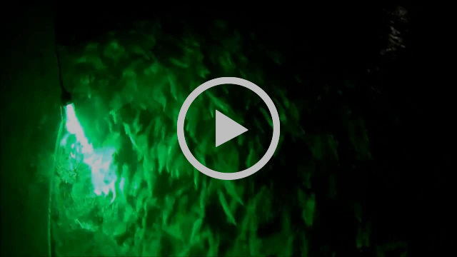 Underwater squid lights - they're deadly fishing photo 10