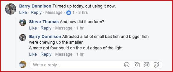 Underwater squid lights - they're deadly fishing photo 12