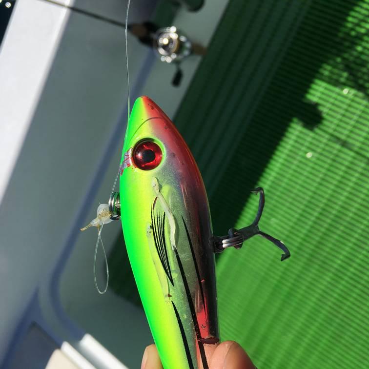 We Got an Overnighter, Dawg! fishing photo 12