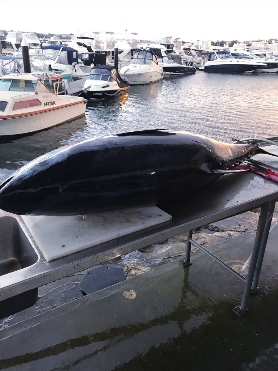 Week in Review fishing photo 6