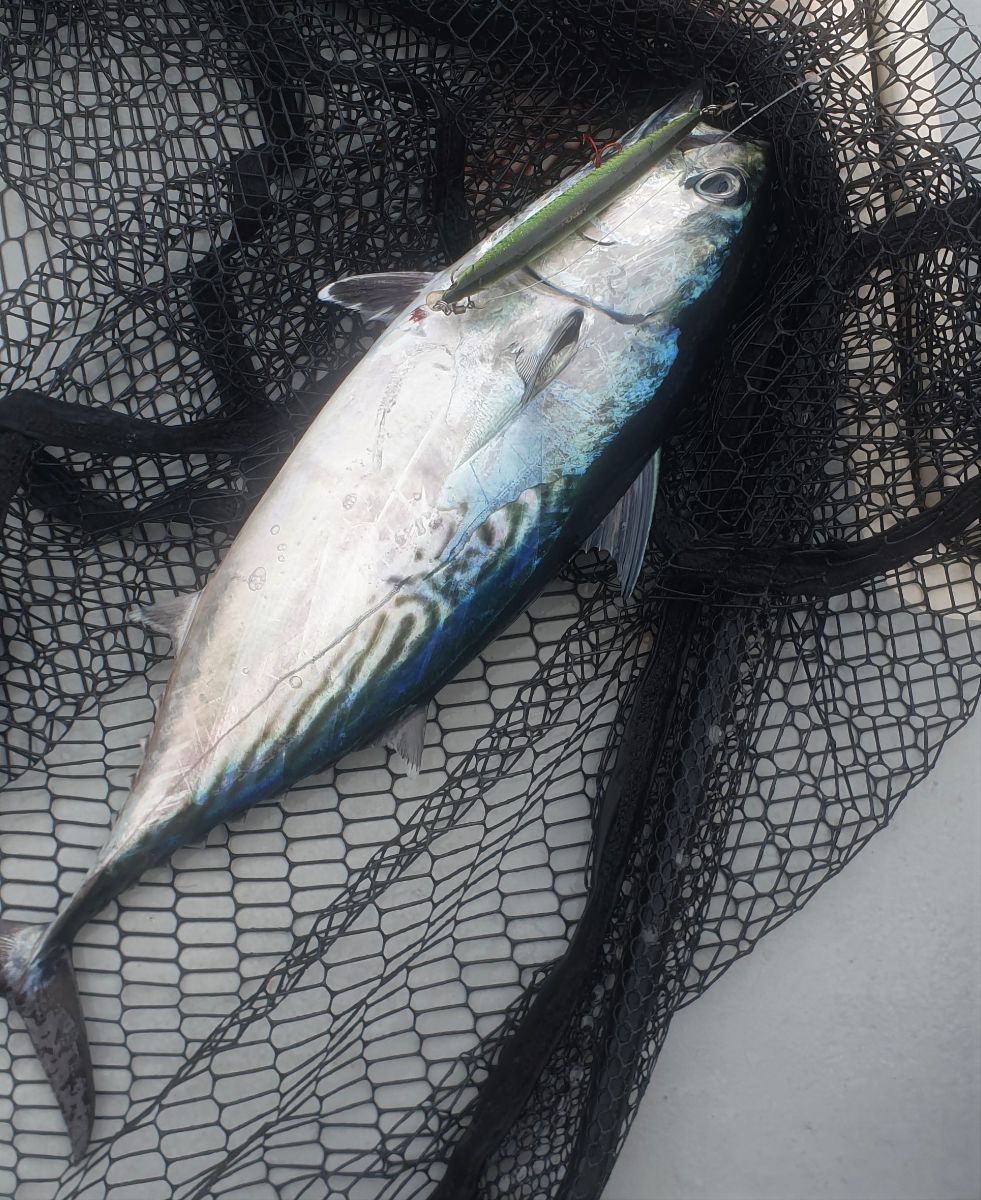 Wild Weather, Wild Fish fishing photo 5