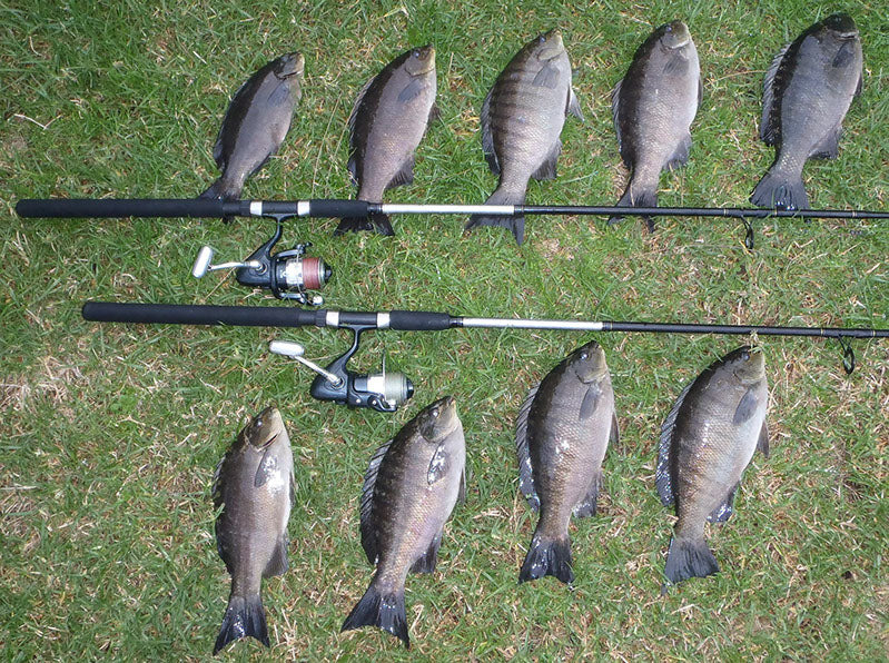 Esca Heddon Mag Hellbender Downrigger W0819-D – Versione Senza Ami, Da Collezione, Giappone