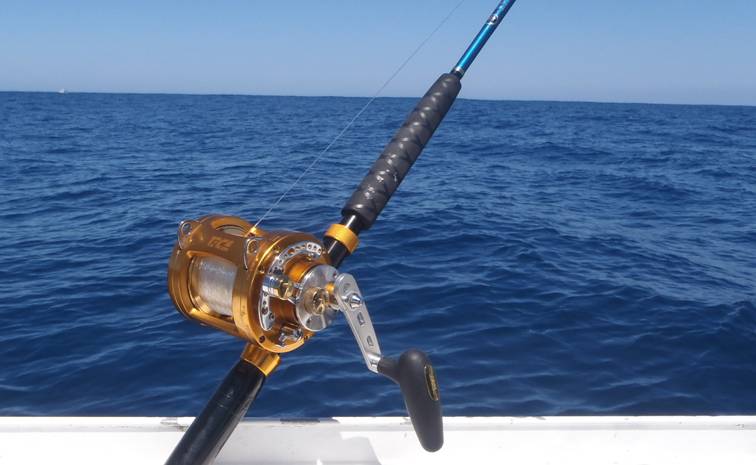 Saltwater Fishing Rod 1 Piece Trolling Rod Deep Sea Big Game
