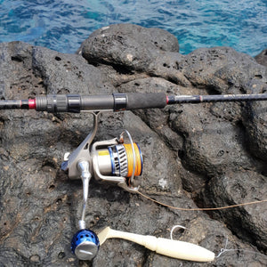 Ryobi reel on the Infinite Seabass rod with large soft plastic